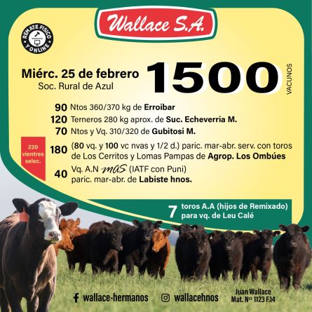 Wallace SA - Azul - Miercoles 25 de Febrero