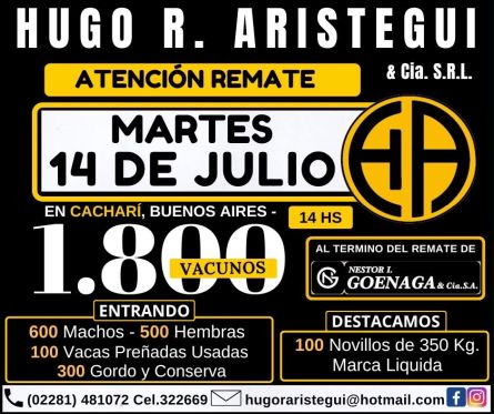 Hugo R Aristegui - Cachari - Martes 14 de Julio