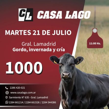 Casa Lago - Lamadrid - Martes 21 de Julio