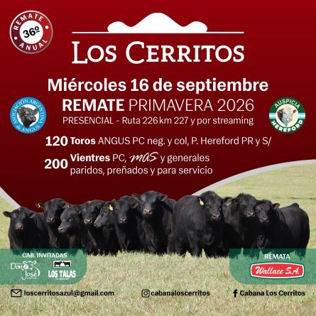 Los Cerritos - Azul - Miercoles 16 de Septiembre