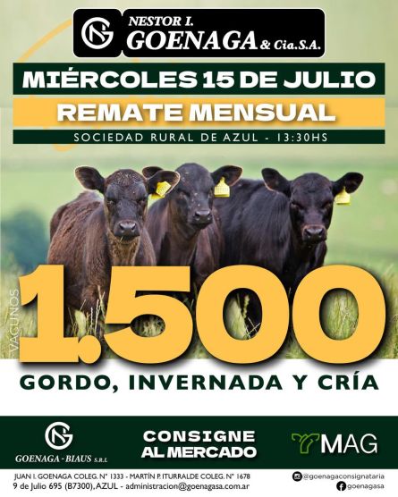 Nestor I Goenaga - Azul - Miercoles 15 de Julio