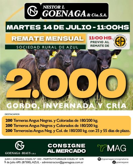 Nestor I Goenaga - Azul - Miercoles 15 de Julio