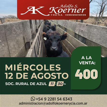 Adolfo S Koerner - Azul - Miercoles 12 de Julio