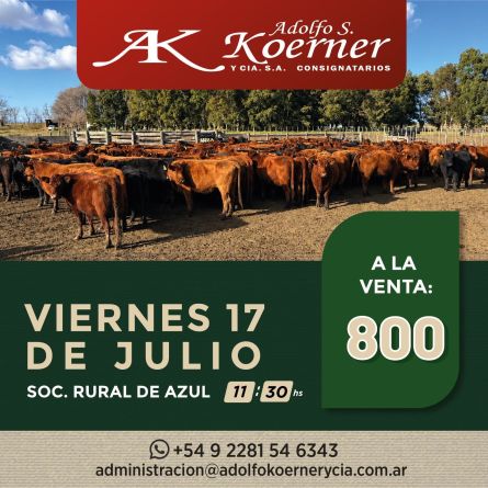 Adolfo S Koerner - Azul - Viernes 17 de Julio