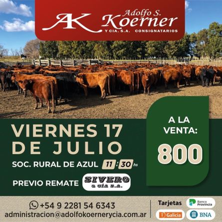 Adolfo S Koerner - Azul - Viernes 17 de Julio