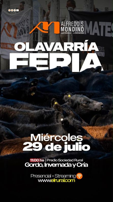 Alfredo S Mondino - Olavarria - Miercoles 29 de Julio