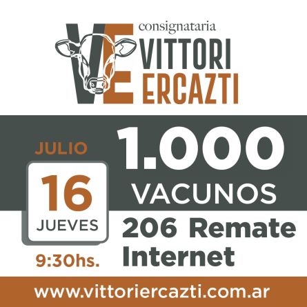 Vittori Ercazti - Internet - Jueves 16 de Julio