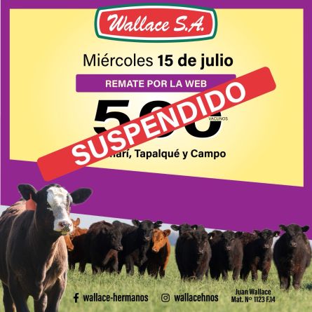 Wallace - Web - Miercoles 15 de Julio