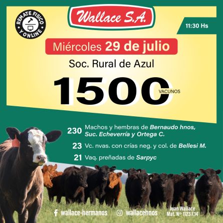 Wallace - Azul - Miercoles 22 de Julio