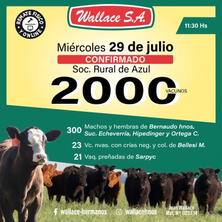 Wallace - Azul - Miercoles 29 de Julio