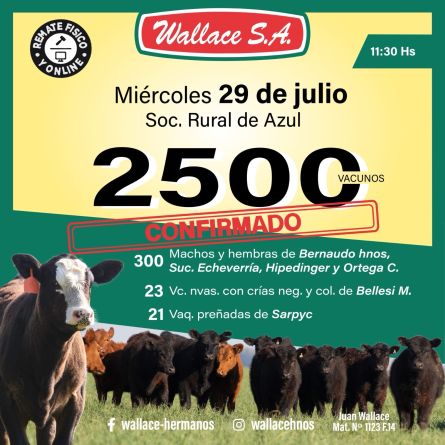 Wallace - Azul - Miercoles 29 de Julio