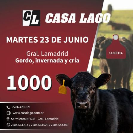 Casa Lago - Lamadrid - Martes 23 de JUnio