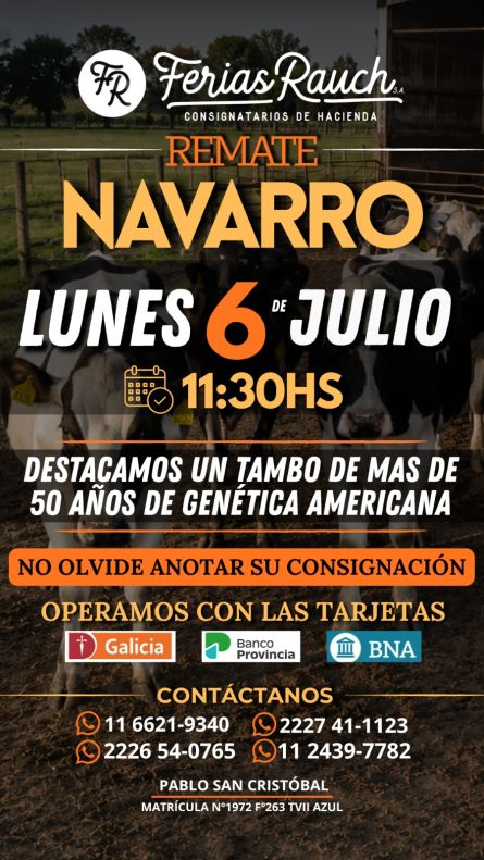 Ferias Rauch - Navarro - Lunes 6 de Julio
