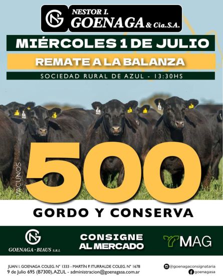 Nestor I Goenaga - Azul - Miercoles 01 de Julio