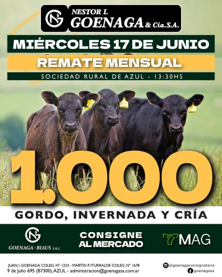 Nestor I Goenaga - Azul - Miercoles 17 de Junio
