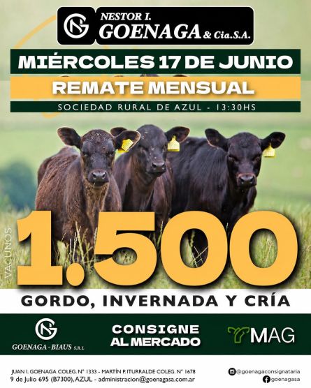 Nestor I Goenaga - Azul - Miercoles 17 de Junio