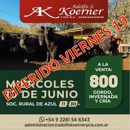Adolfo S Koerner - Azul - Miercoles 10 de Junio