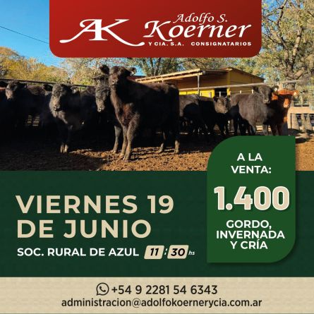 Adolfo S Koerner - Azul - Miercoles 10 de Junio