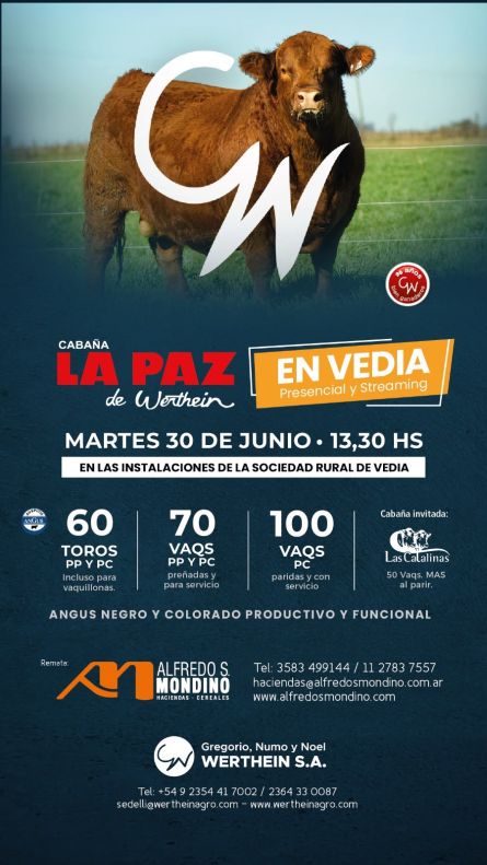 La Paz - Vedia - Martes 30 de JUnio