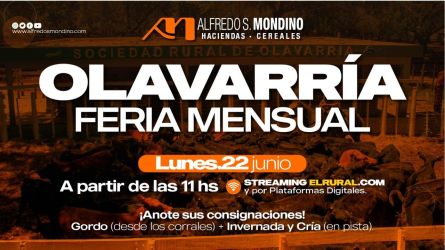 Alfredo S Mondino - Olavarria - Lunes 22 de JUnio