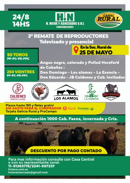 H NIeva y Asoc - 25 de Mayo - Lunes 24 de Agosto