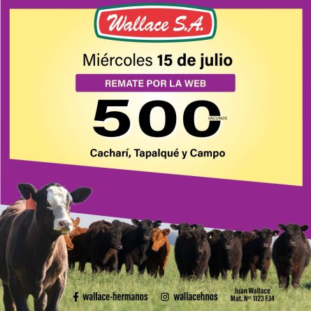 Wallace - Web - Miercoles 15 de Julio