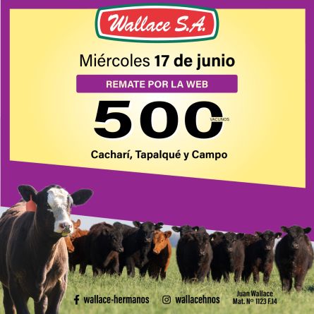 Wallace Sa - Web - Miercoles 17 de Junio