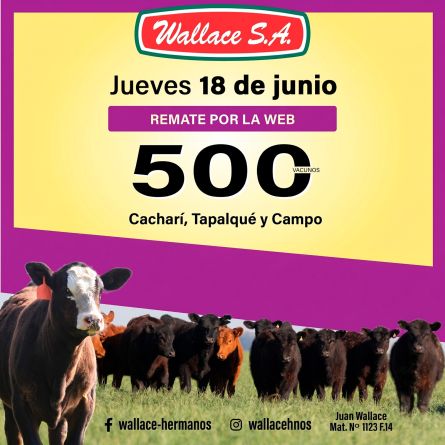 Wallace Sa - Web - Jueves 18 de Junio