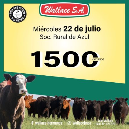 Wallace - Web - Miercoles 22 de Julio