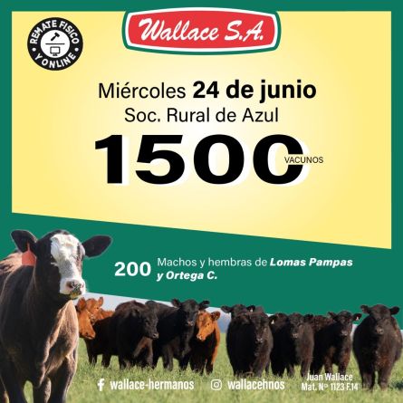 Wallace SA - Azul - Miercoles 24 de JUnio