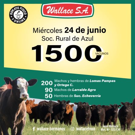 Wallace SA - Azul - Miercoles 24 de JUnio