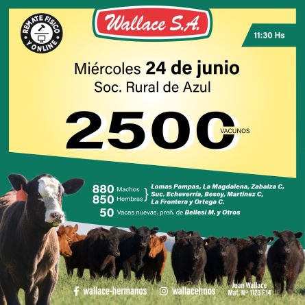 Wallace SA - Azul - Miercoles 24 de JUnio