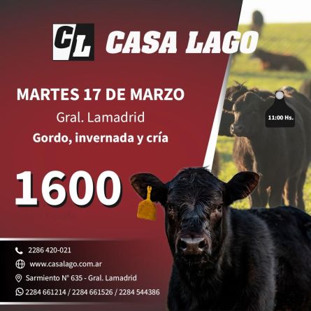 Casa Lago - Gral Lamadrid - Martes 17 de Marzo