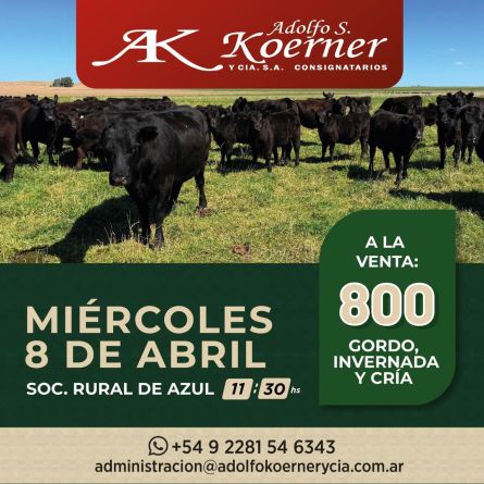 Adolfo S Koerner - Azul - Miercoles 08 de Abril