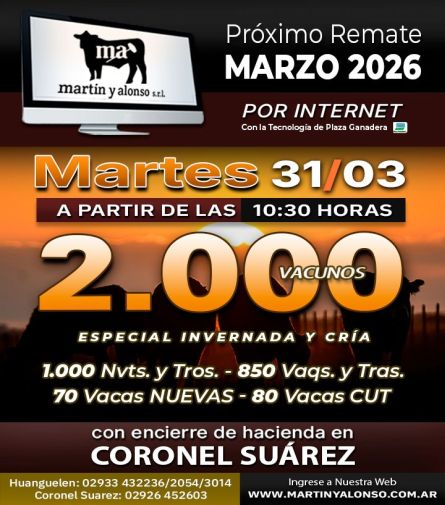 Martin y Alonso - Internet - Martes 31 de Marzo