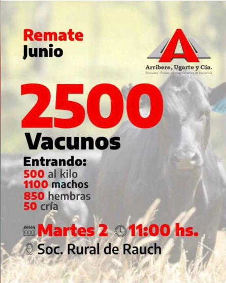Arribere Ugarte - Rauch - Martes 02 de JUnio