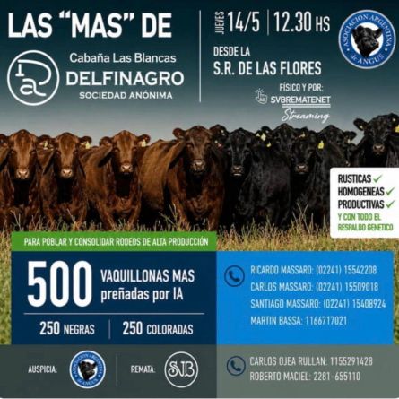 Delfinagro - Las Flores - Jueves 14 de Mayo
