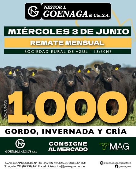 Nestor I Goenaga - Azul - Miercoles 03 de Junio