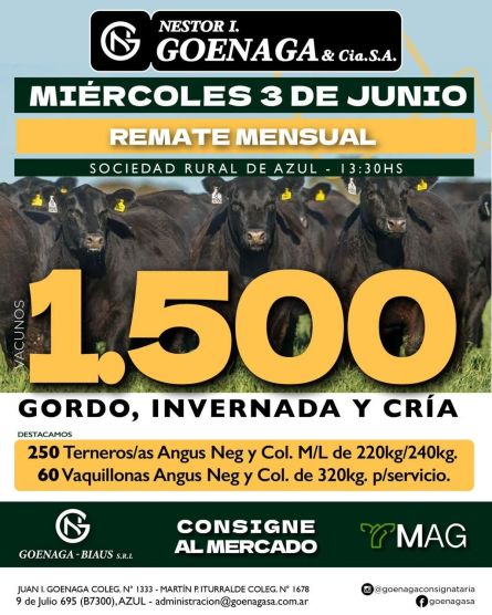 Nestor I Goenaga - Azul - Miercoles 03 de Junio