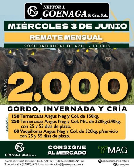 Nestor I Goenaga - Azul - Miercoles 03 de Junio