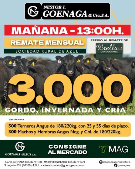 Nestor I Goenaga - Azul - Miercoles 06 de Mayo
