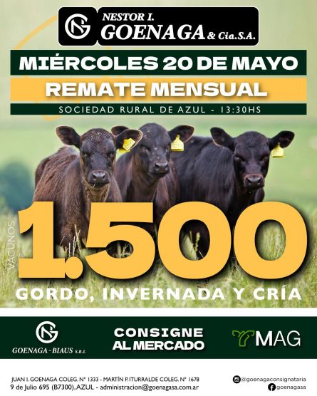 Nestor I Goenaga - Azul - Miercoles 20 de Mayo