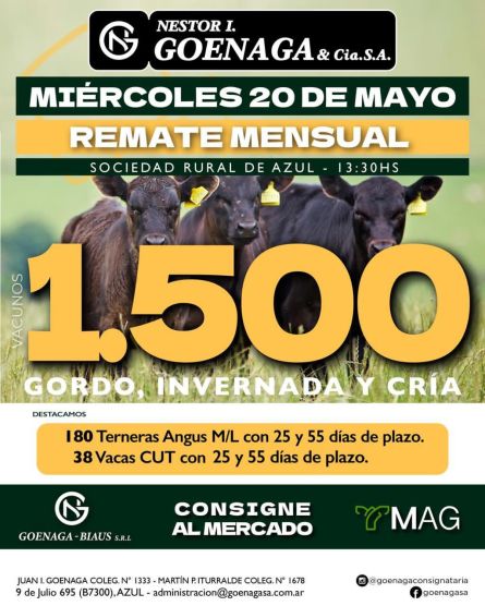 Nestor I Goenaga - Azul - Miercoles 20 de Mayo