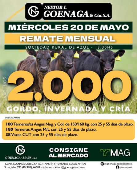 Nestor I Goenaga - Azul - Miercoles 20 de Mayo