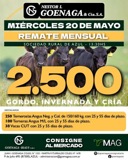 Nestor I Goenaga - Azul - Miercoles 20 de Mayo