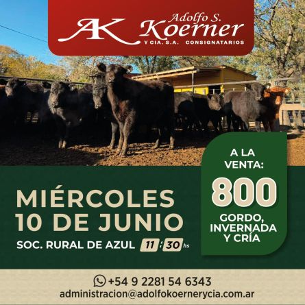 Adolfo S Koerner - Azul - Miercoles 10 de Junio