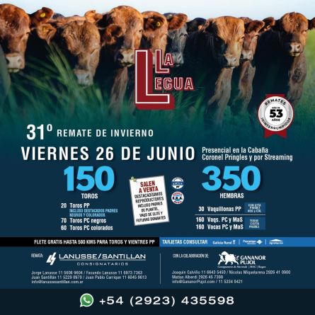 La Legua - Coronel Pringles - Viernes 26 de JUnio