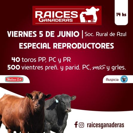 Raices Ganaderas - Azul - Viernes 05 de JUnio