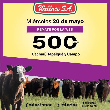 Wallace - Internet - Miercoles 20 de Mayo