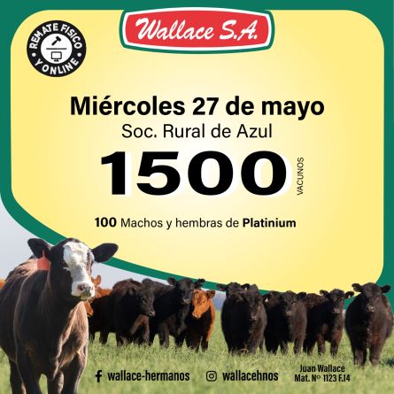 Wallace - Azul - Miercoles 20 de Mayo